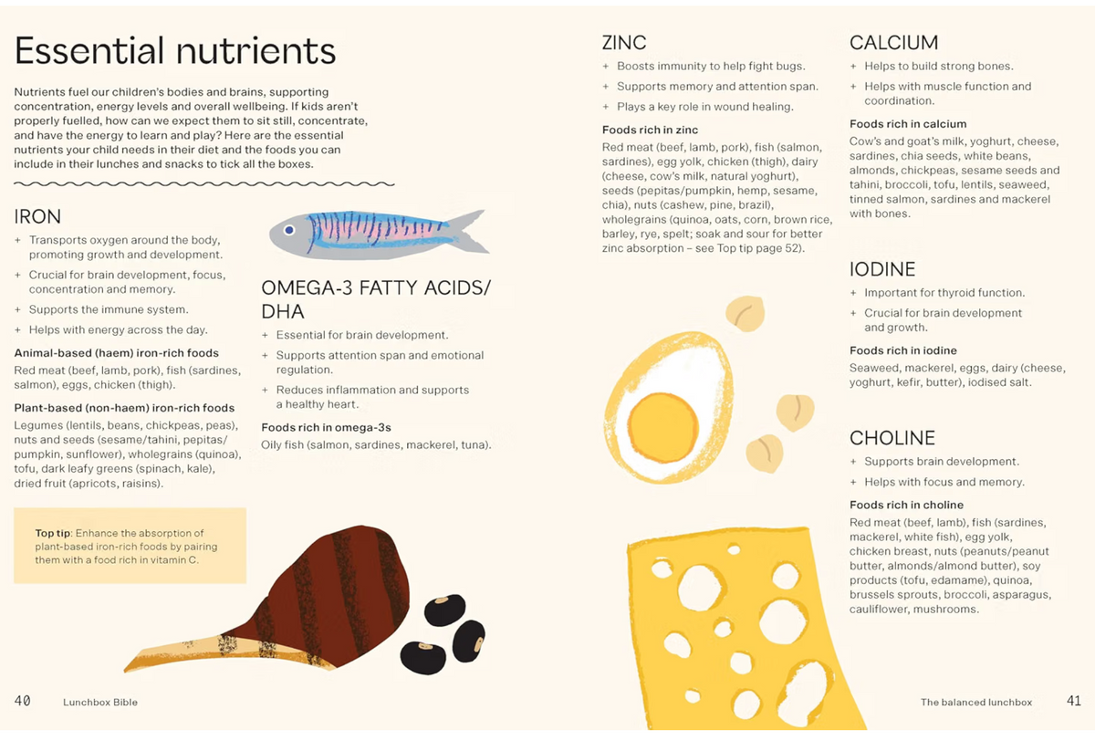 Lunchbox Bible: Your Go-to Guide for Building a Balanced Lunchbox