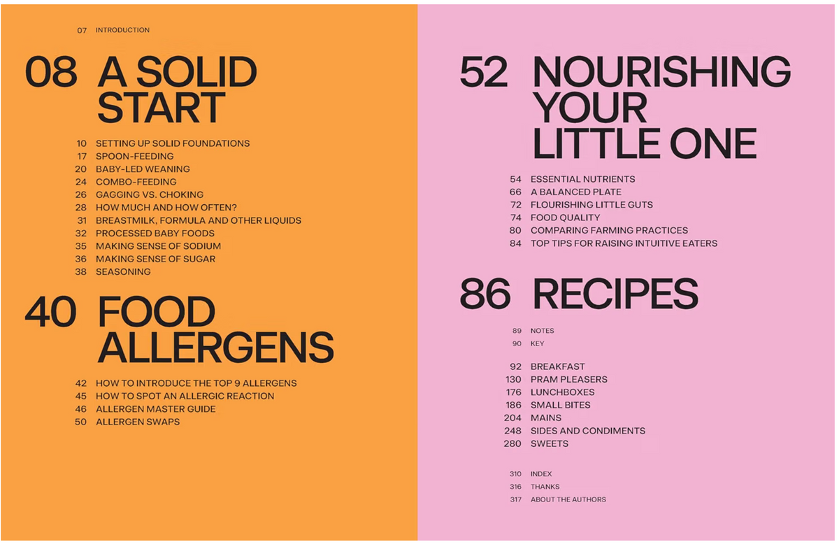 Baby Food Bible: A Nourishing Guide to Feeding Your Family, From First Bite and Beyond