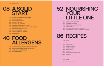 Baby Food Bible: A Nourishing Guide to Feeding Your Family, From First Bite and Beyond